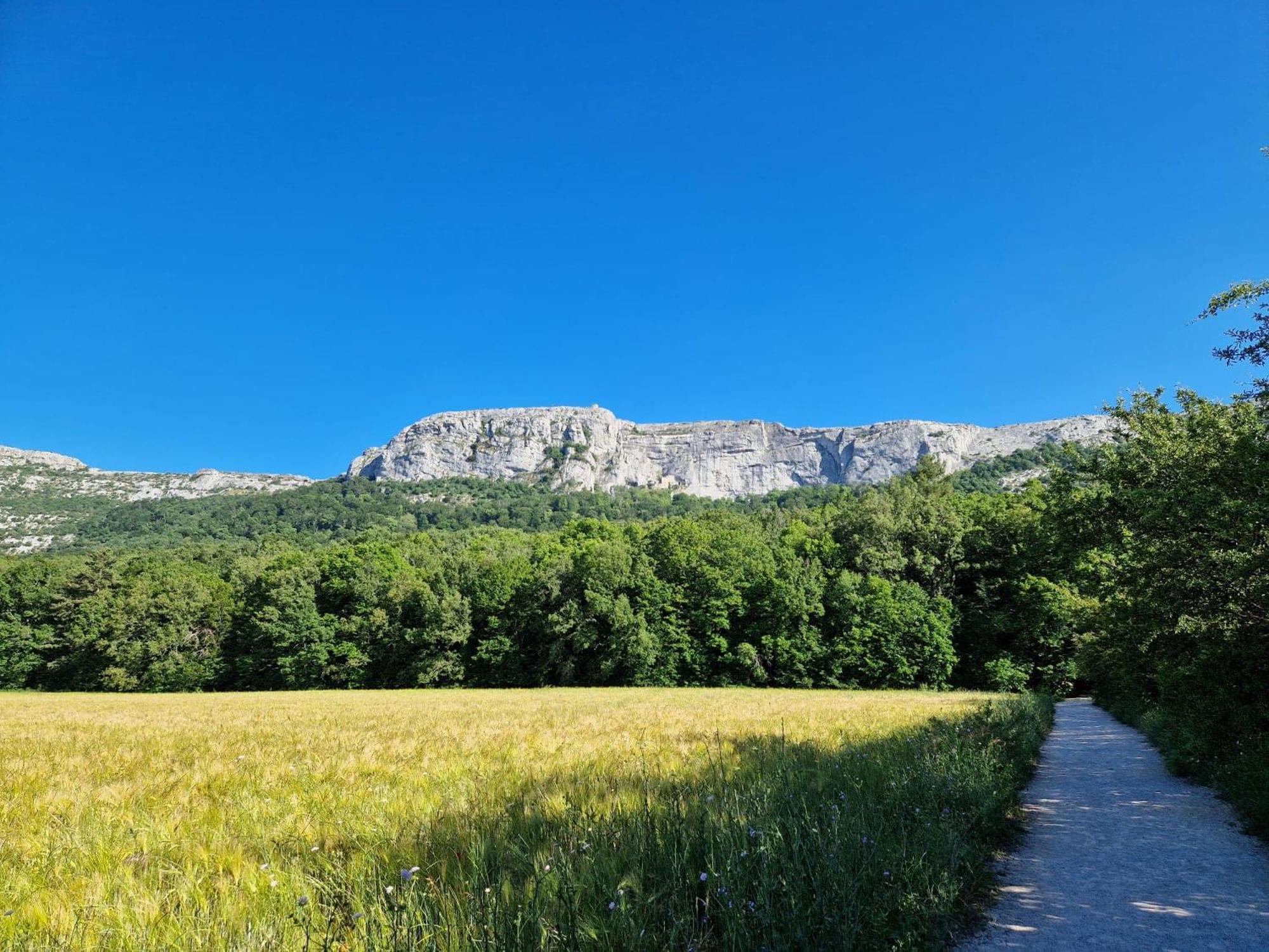 Bastide Saint Supin Daire Tourves Dış mekan fotoğraf